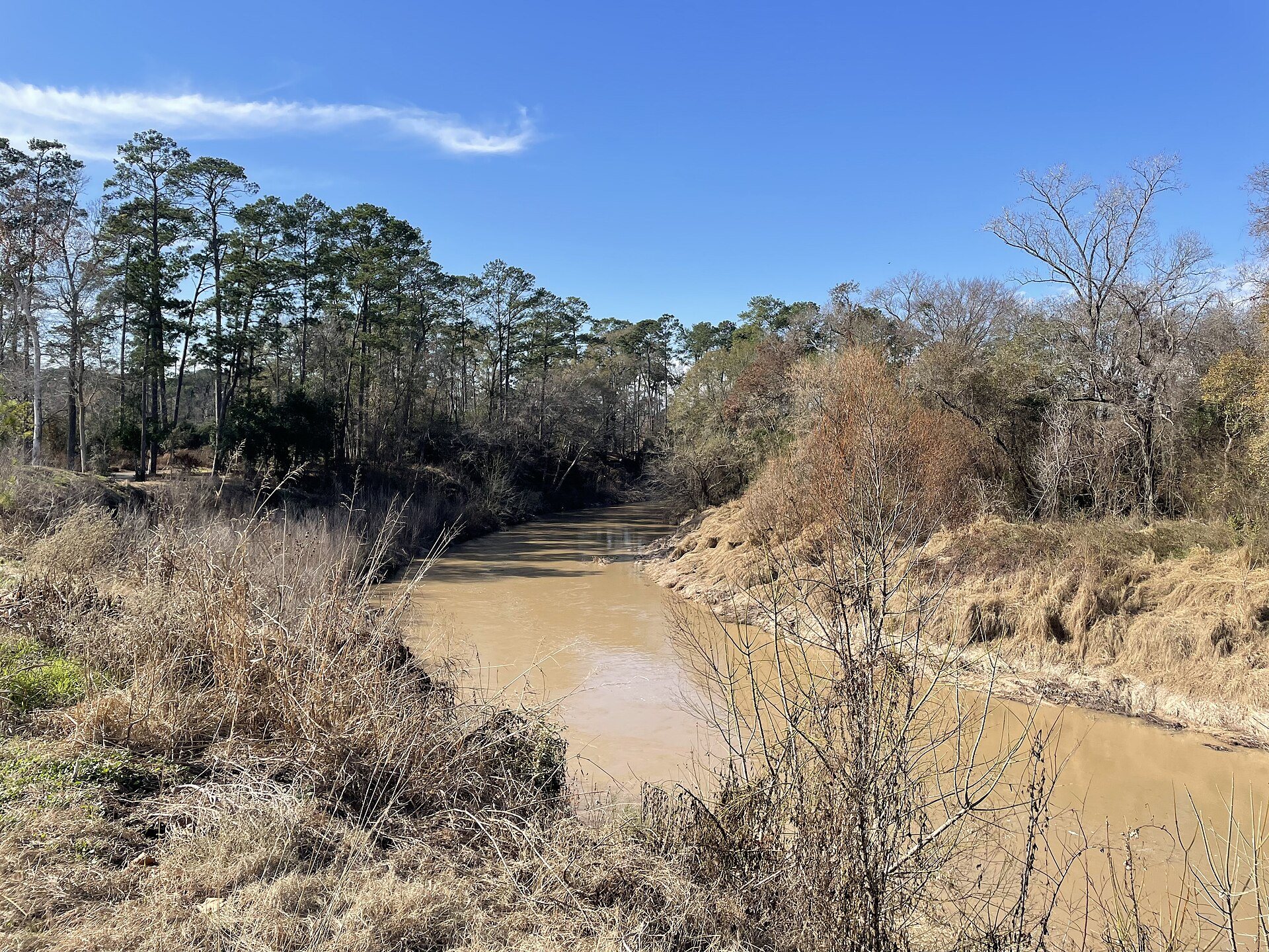 Wooded banks of Cypress Creek in the Houston region
