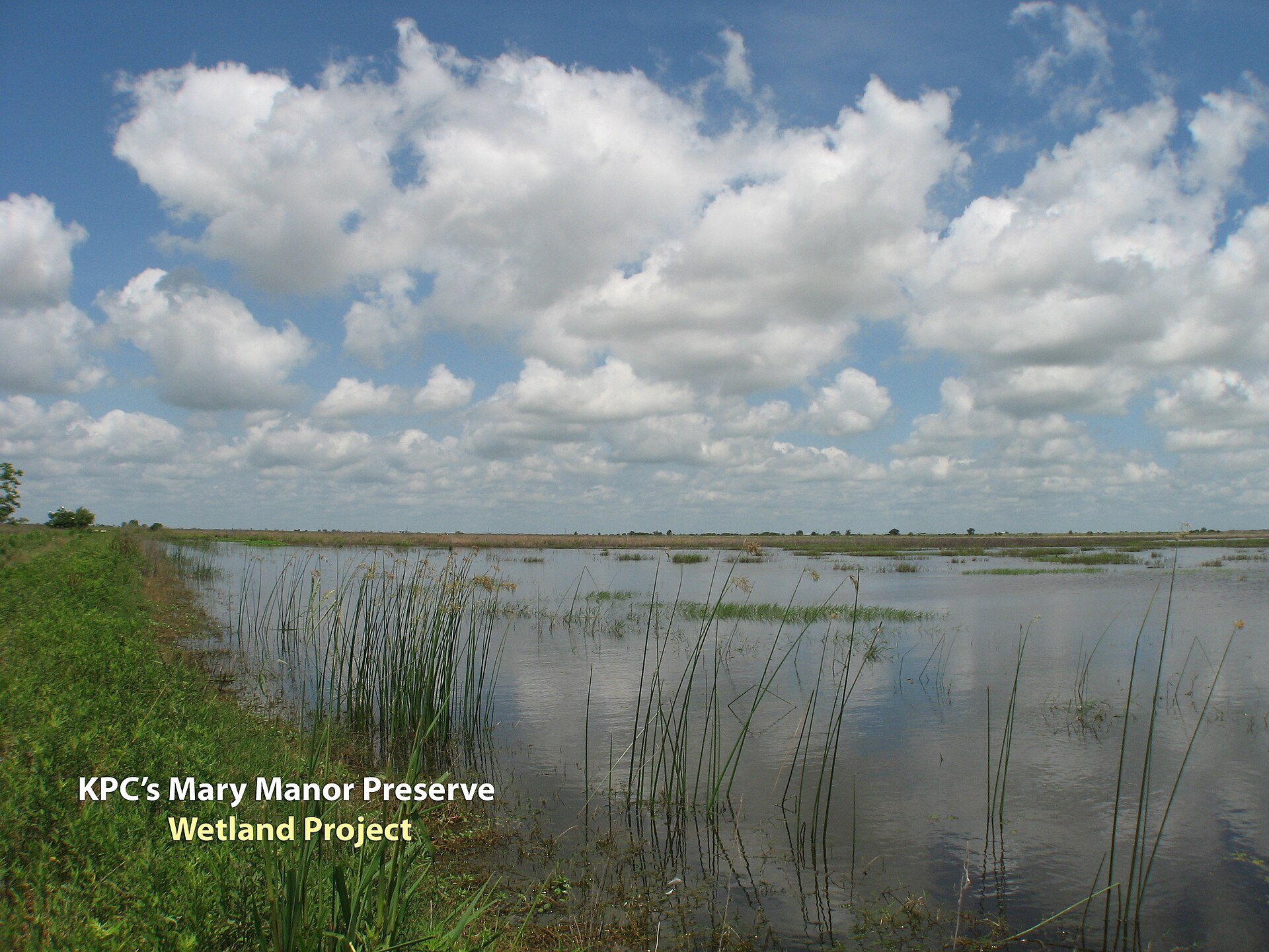 Wetlands at Mary Manor Preserve on the Katy Prairie