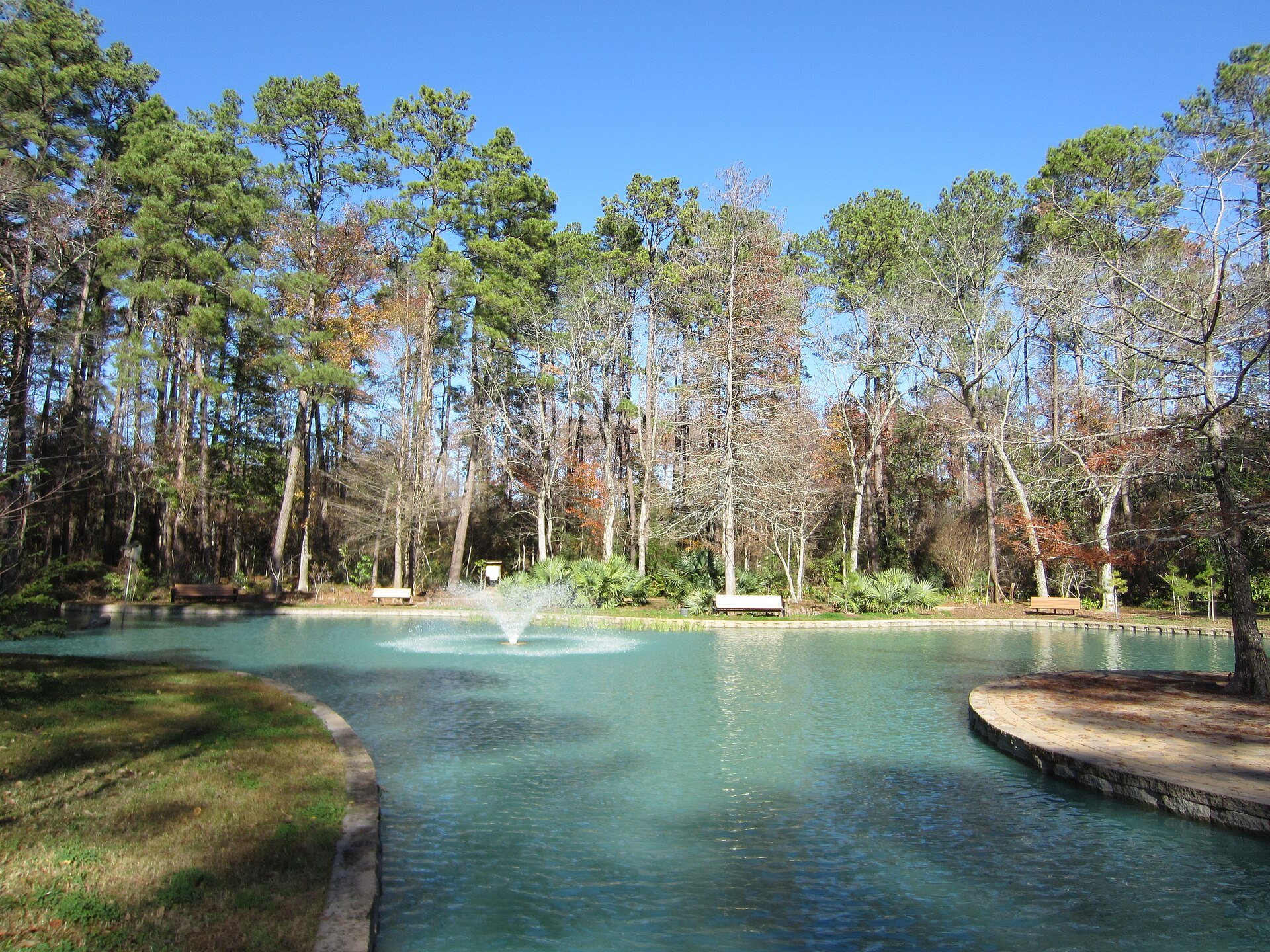 Storey Lake and wooded gardens at Mercer Arboretum