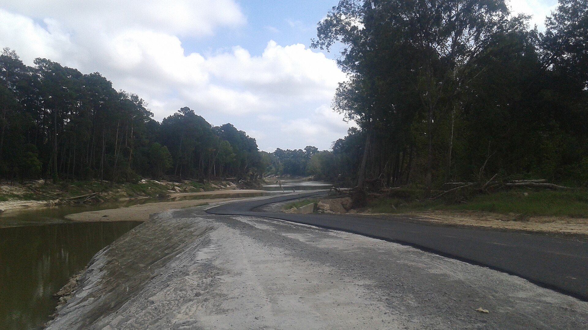 Wooded creek banks along the Spring Creek Greenway