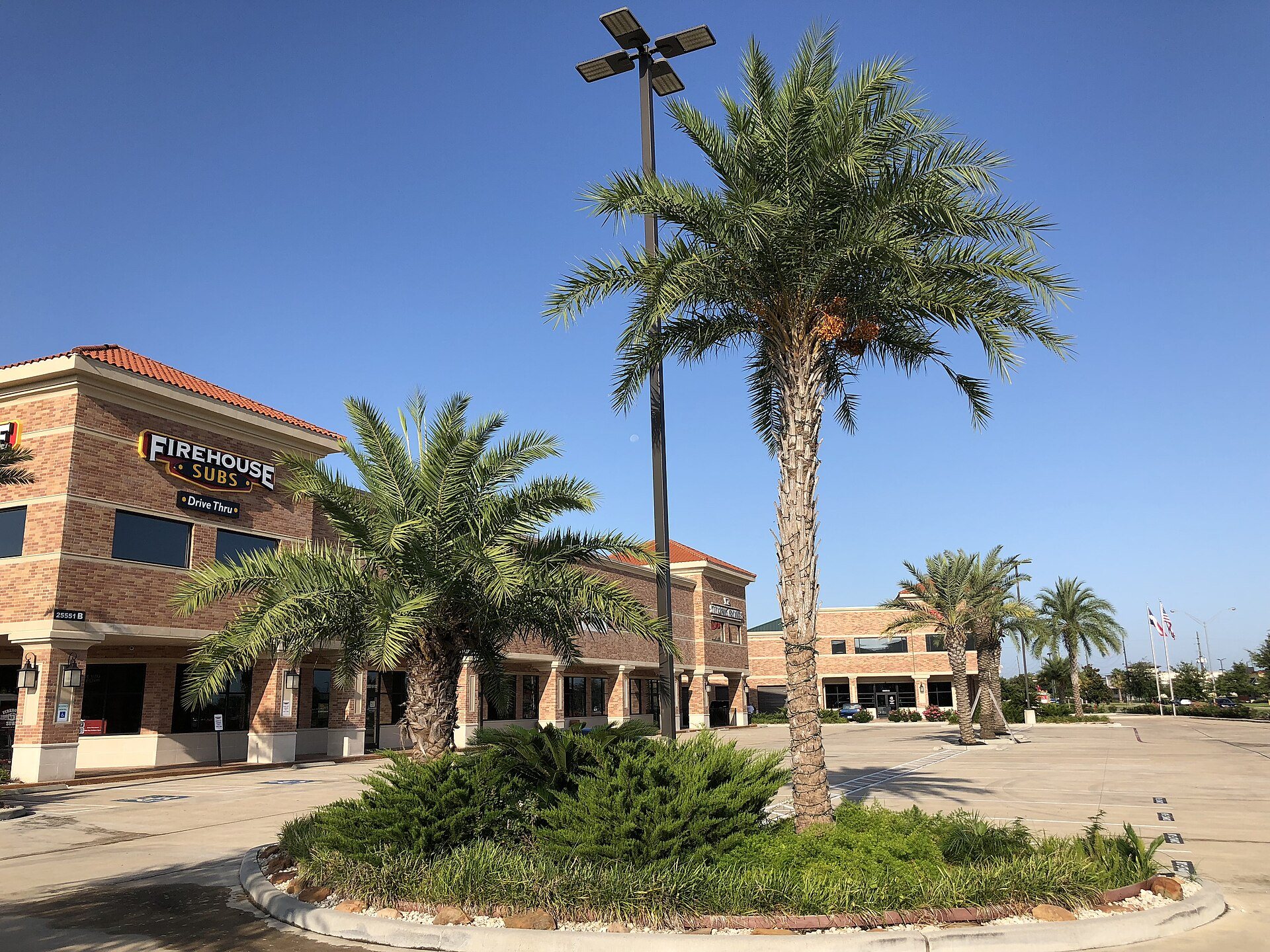 Palm trees and storefronts along Kingsland Boulevard in Katy