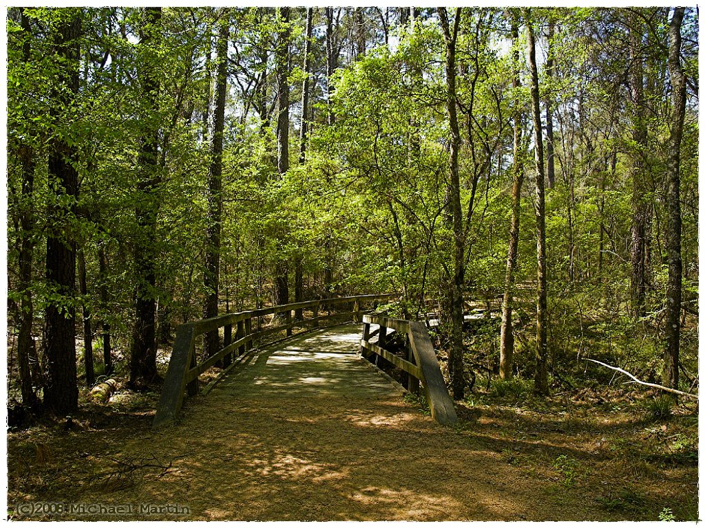 Wooded walking bridge on Hawthorne Loop at Mercer Arboretum in north Houston