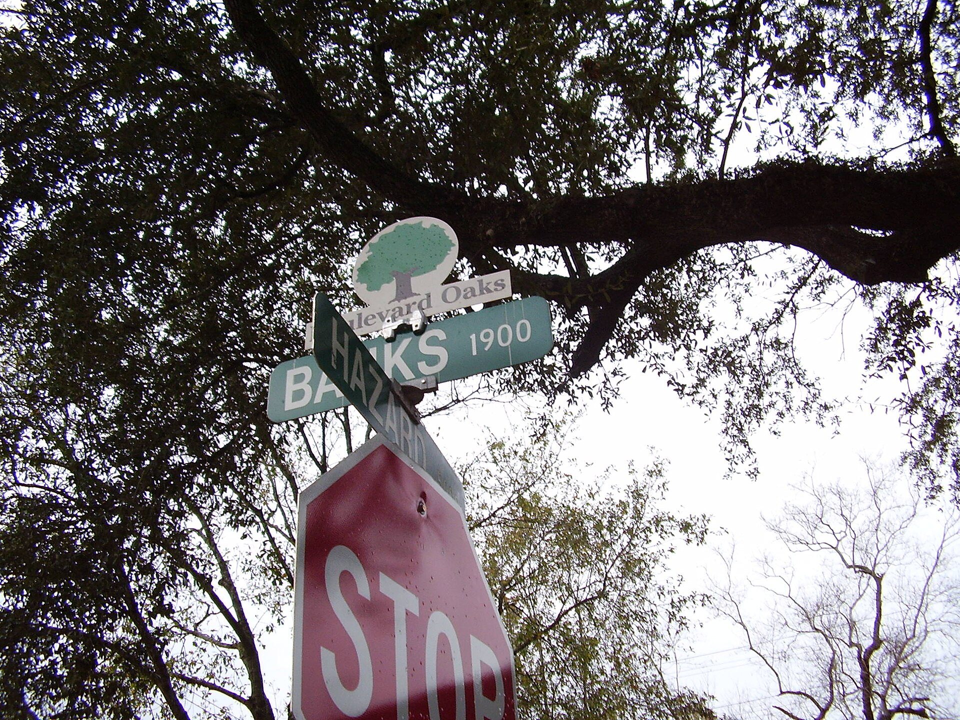 Boulevard Oaks street signs beneath a canopy of live oak branches